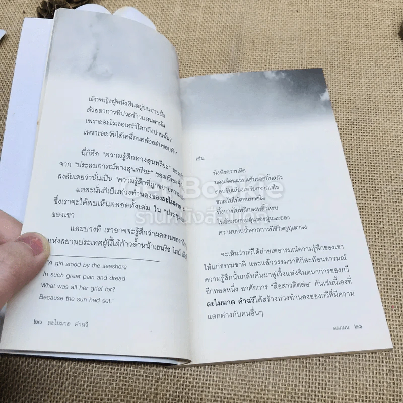 ดอกฝน - ละไมมาด คำฉวี รูปที่ 8