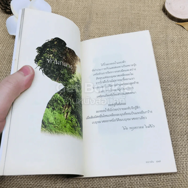 ดอกฝน - ละไมมาด คำฉวี รูปที่ 12
