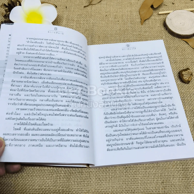 พรายสึนามิ - พร เมืองใต้ รูปที่ 7