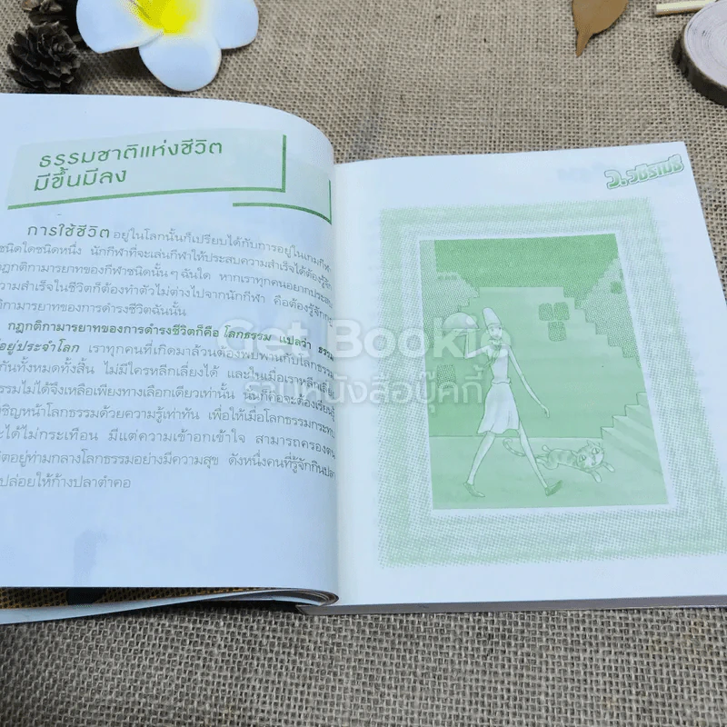 สูตรสำเร็จของชีวิต รูปที่ 10
