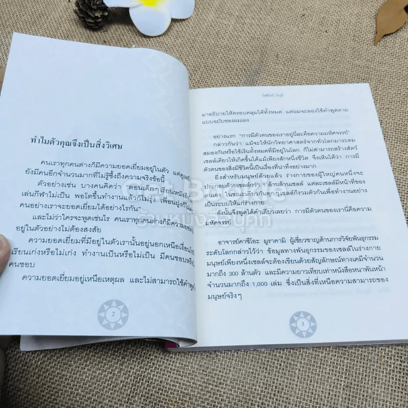 มองด้วยใจ - โยชิโนริ โนงุจิ รูปที่ 9