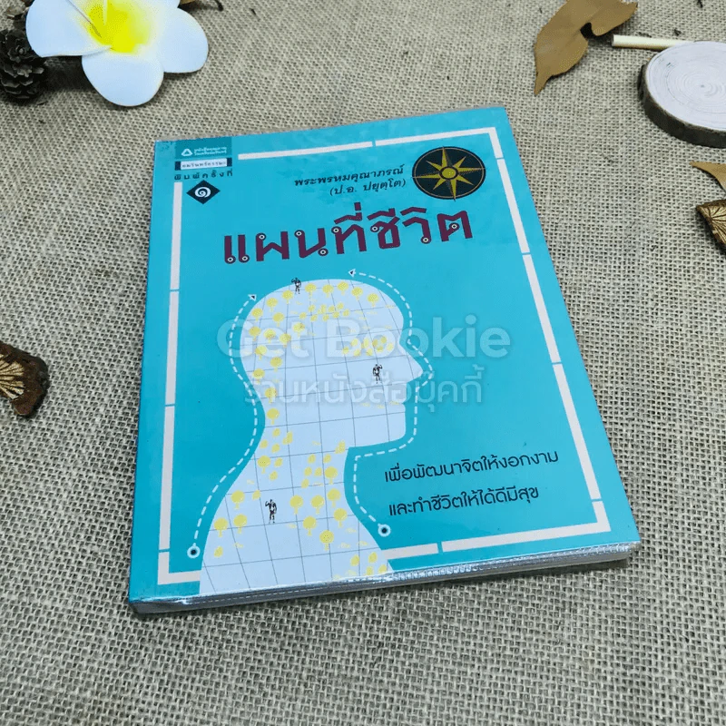 แผนที่ชีวิต รูปที่ 1