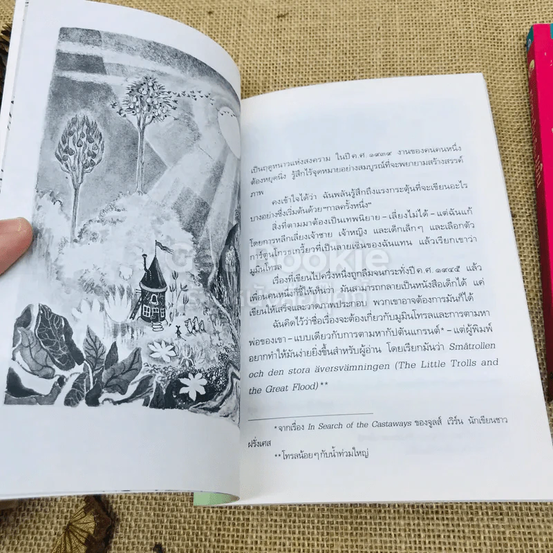 มูมิน 6 เล่ม รูปที่ 21