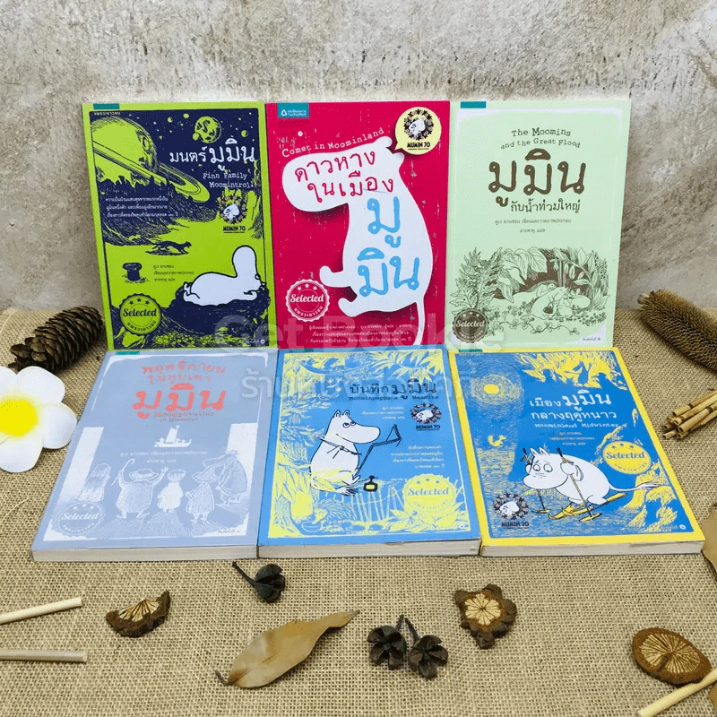 มูมิน 6 เล่ม รูปที่ 2