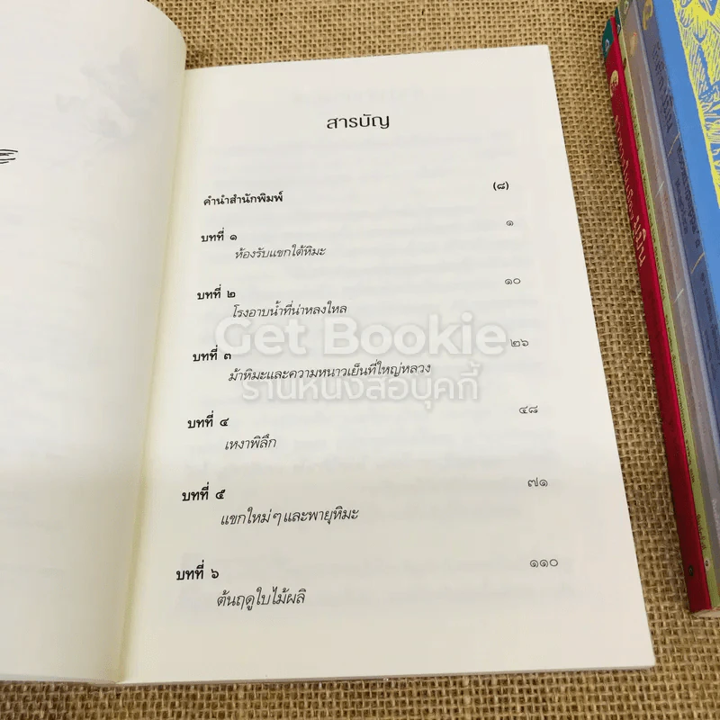 มูมิน 6 เล่ม รูปที่ 10