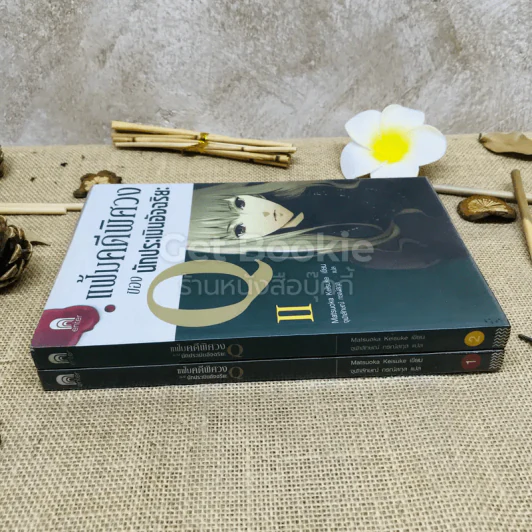 แฟ้มคดีพิศวงของนักประเมินอัจฉริยะ เล่ม 1-2 รูปที่ 2