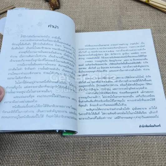 คนสำราญ งานสำเร็จ รูปที่ 6