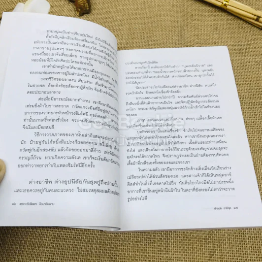 เพราะรักติดตาจึงมาติดตาม - ดำรงค์ อารีกุล รูปที่ 8