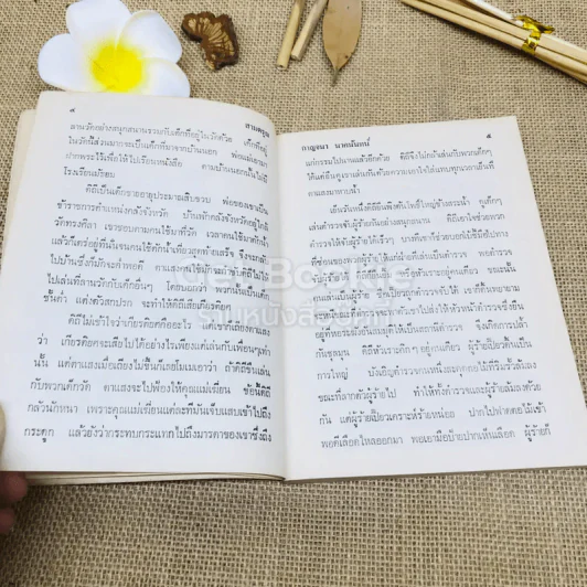 สามดรุณ - กาญจนา นาคนันทน์ รูปที่ 9