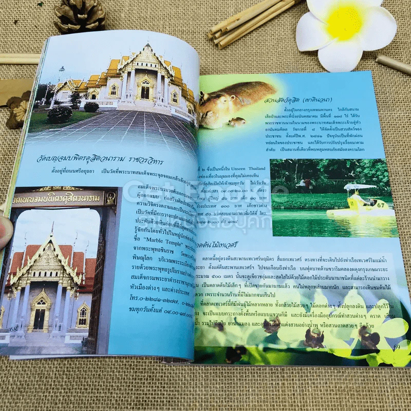 ของดีกรุงเทพฯ รูปที่ 11