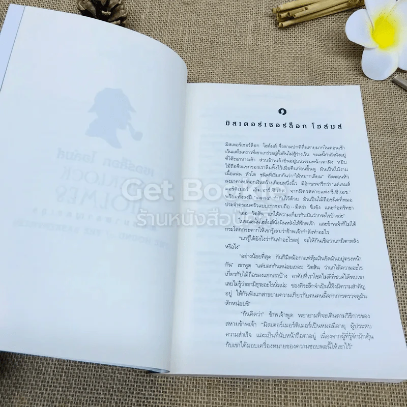 เรื่องสั้นเชอร์ล็อก โฮล์มส์ ชุด หมาผลาญตระกูล รูปที่ 9