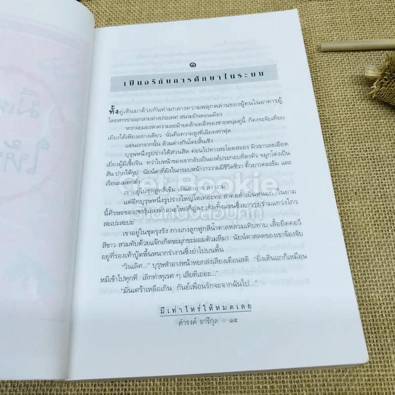 มีเท่าไหร่ให้หมดเลย รูปที่ 14
