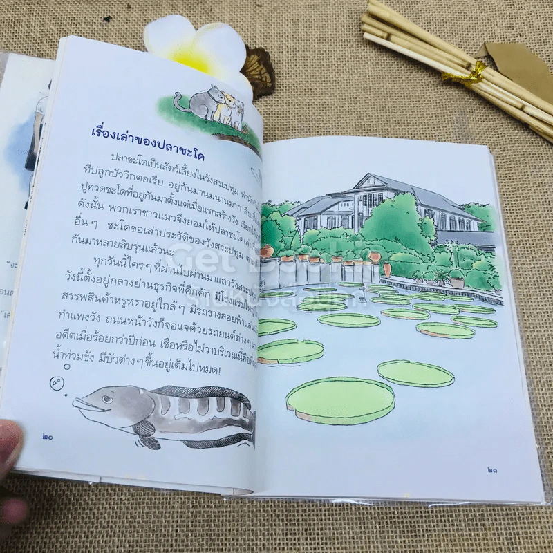 พวกเราขอเล่าบ้าง อยู่วังสระปทุม 2 รูปที่ 6