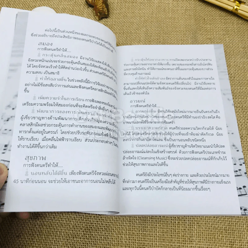 ดนตรีเป็นยาวิเศษ รูปที่ 10