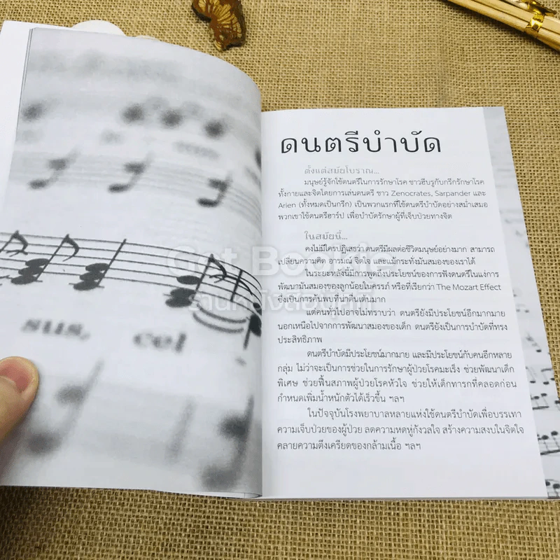 ดนตรีเป็นยาวิเศษ รูปที่ 9