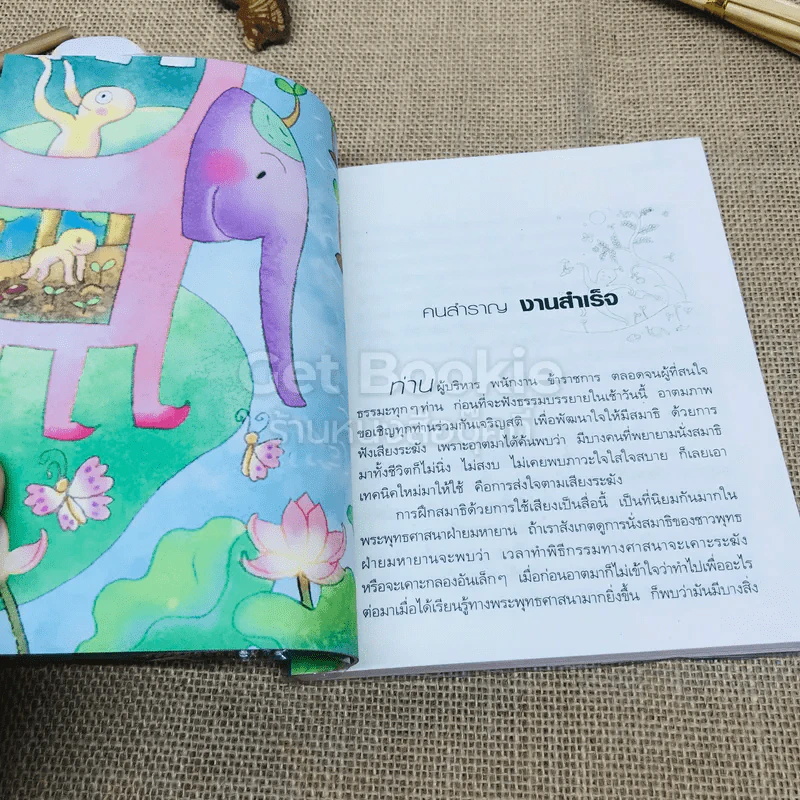 คนสำราญ งานสำเร็จ รูปที่ 9