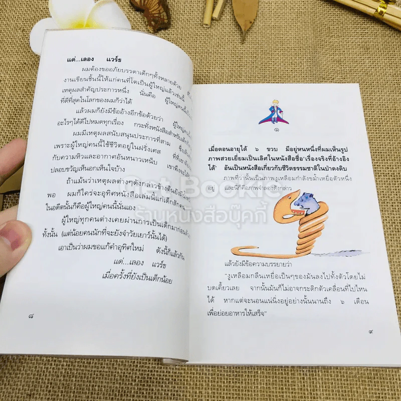 เจ้าชายน้อย รูปที่ 6