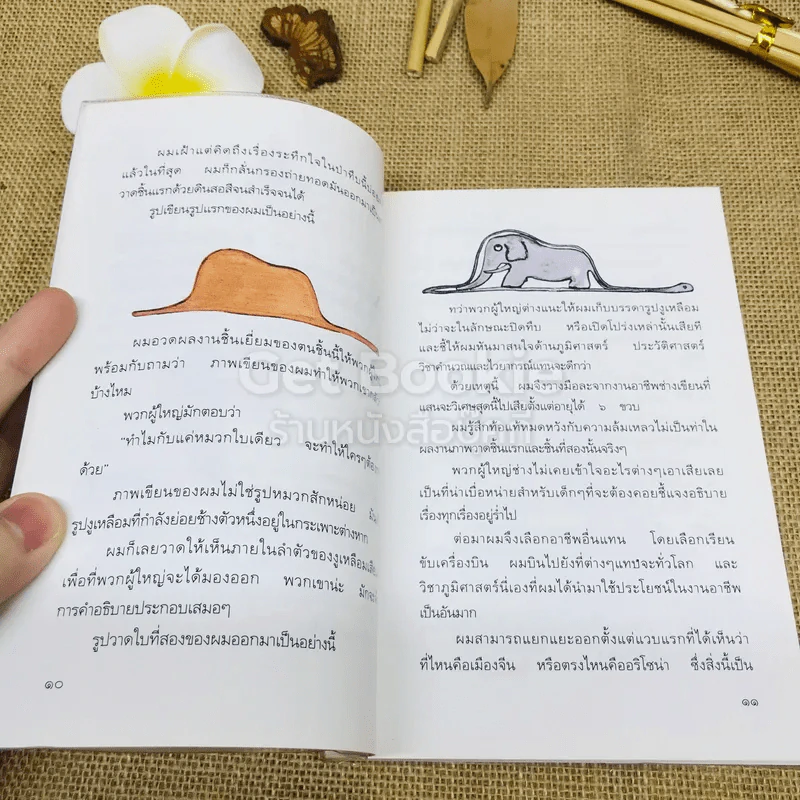 เจ้าชายน้อย รูปที่ 7
