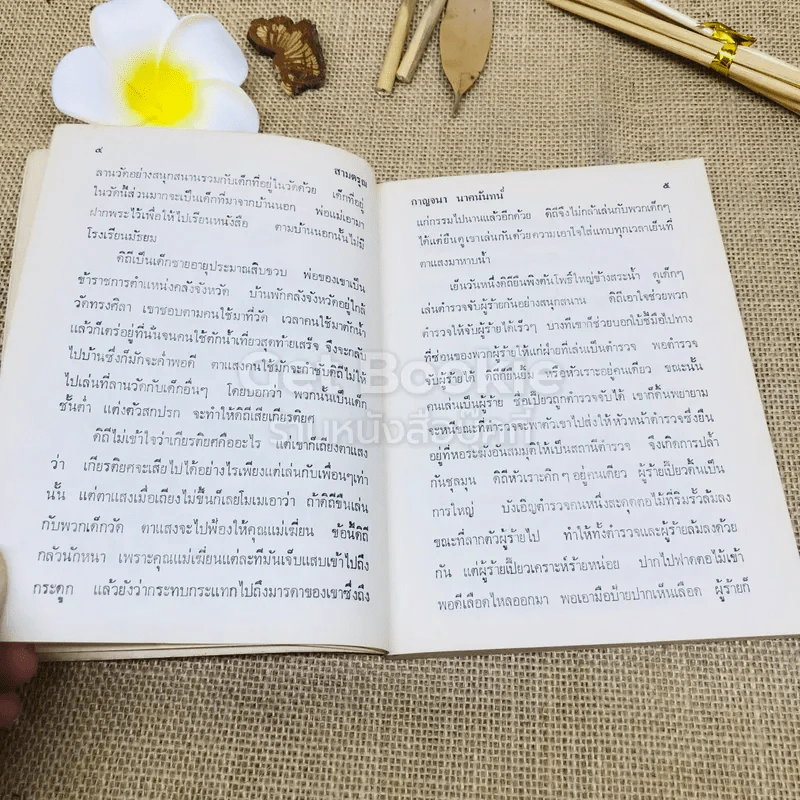 สามดรุณ - กาญจนา นาคนันทน์ รูปที่ 9