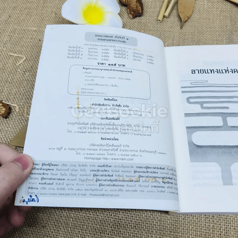 ลายแทงแห่งความสุข รูปที่ 5