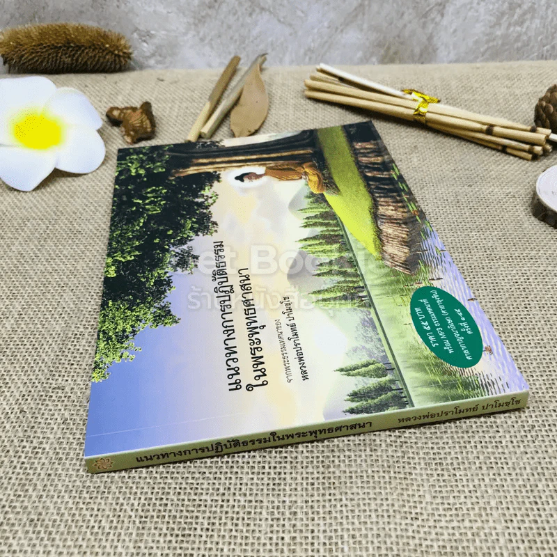 แนวทางการปฏิบัติธรรมในพระพุทธศาสนา รูปที่ 2