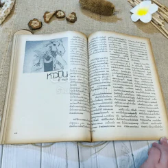 ชาวกรุง ปีที่ 29 ฉบับที่ 3 ธ.ค.2522 รูปที่ 9