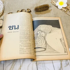 ชาวกรุง ปีที่ 28 ฉบับที่ 7 เม.ย.2522 รูปที่ 9