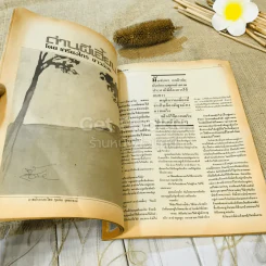 ฟ้าเมืองทอง ฉบับที่ 93 ธ.ต.2526 รูปที่ 16