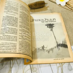 ฟ้าเมืองทอง ฉบับที่ 93 ธ.ต.2526 รูปที่ 17