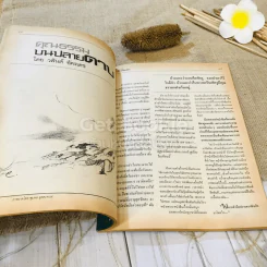 ฟ้าเมืองทอง ฉบับที่ 77 ส.ค.2525 รูปที่ 22