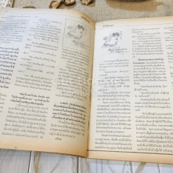 ฟ้าเมืองทอง ฉบับที่ 89 ส.ค.2526 รูปที่ 20