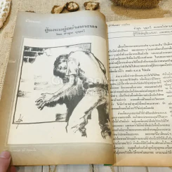 ฟ้าเมืองทอง ฉบับที่ 48 มี.ค.2523 รูปที่ 12