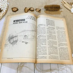 ฟ้าเมืองทอง ฉบับที่ 85 เม.ย.2526 รูปที่ 21