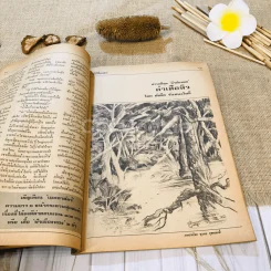 ฟ้าเมืองทอง ฉบับที่ 74 พ.ค.2525 รูปที่ 19