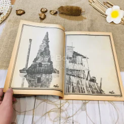 ฟ้าเมืองทอง ฉบับที่ 98 พ.ค.2527 รูปที่ 12
