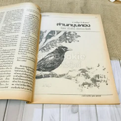 ฟ้าเมืองทอง ฉบับที่ 86 พ.ค.2526 รูปที่ 19