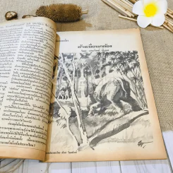 ฟ้าเมืองทอง ฉบับที่ 44 พ.ย.2522 รูปที่ 20