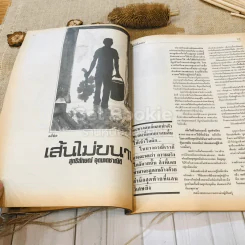 ฟ้าเมืองทอง ฉบับที่ 102 ก.ย.2527 รูปที่ 22