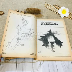ฟ้าเมืองทอง ฉบับที่ 88 ก.ค.2526 รูปที่ 8