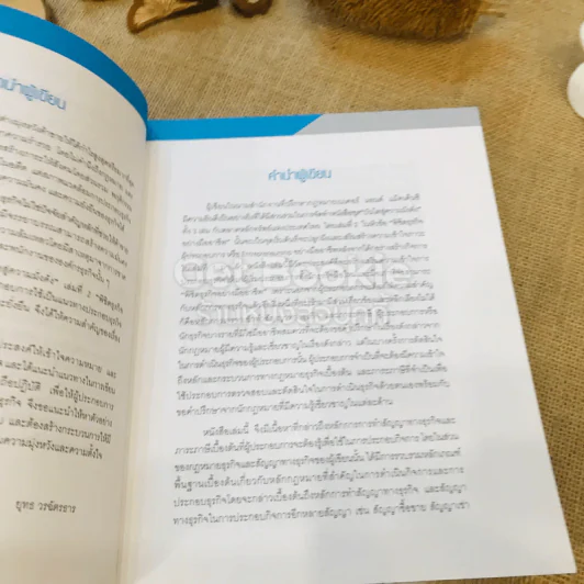 พิชิตธุรกิจอย่างมืออาชีพ รูปที่ 10