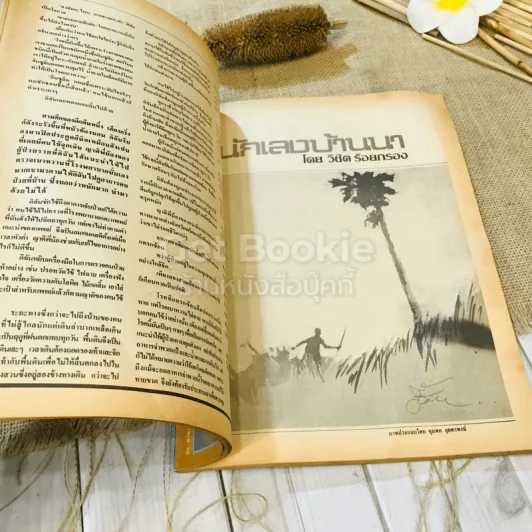 ฟ้าเมืองทอง ฉบับที่ 93 ธ.ต.2526 รูปที่ 17