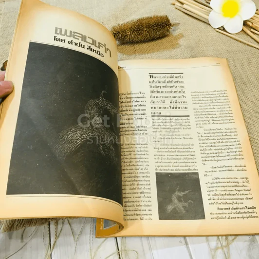 ฟ้าเมืองทอง ฉบับที่ 93 ธ.ต.2526 รูปที่ 13
