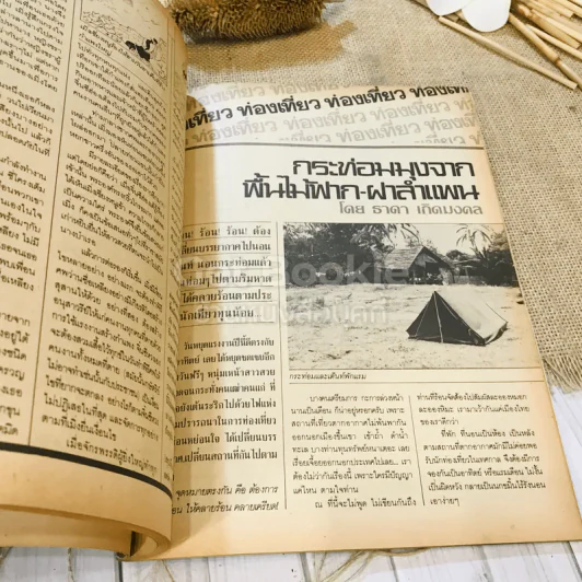 ฟ้าเมืองทอง ฉบับที่ 87 มิ.ย.2526 รูปที่ 13