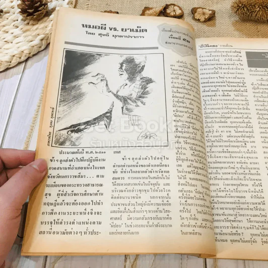 ฟ้าเมืองทอง ฉบับที่ 70 ม.ค.2525 รูปที่ 12