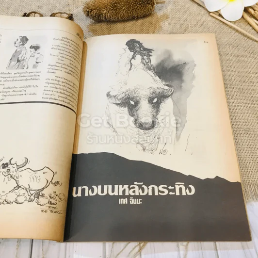 ฟ้าเมืองทอง ฉบับที่ 100 ก.ค.2527 รูปที่ 19