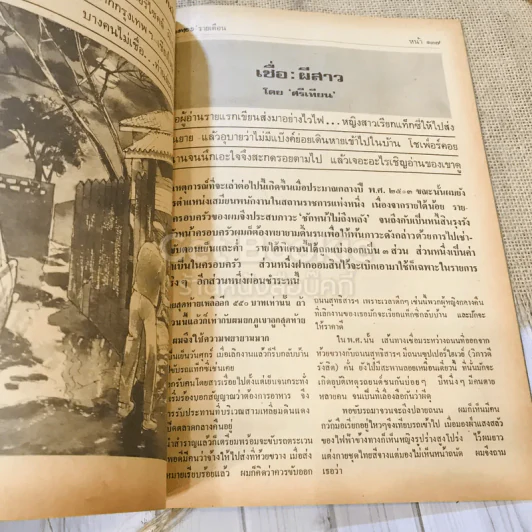 ฟ้าเมืองทอง ฉบับที่ 40 ก.ค.2522 รูปที่ 11