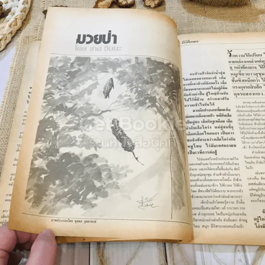 ฟ้าเมืองทอง ฉบับที่ 89 ส.ค.2526 รูปที่ 21