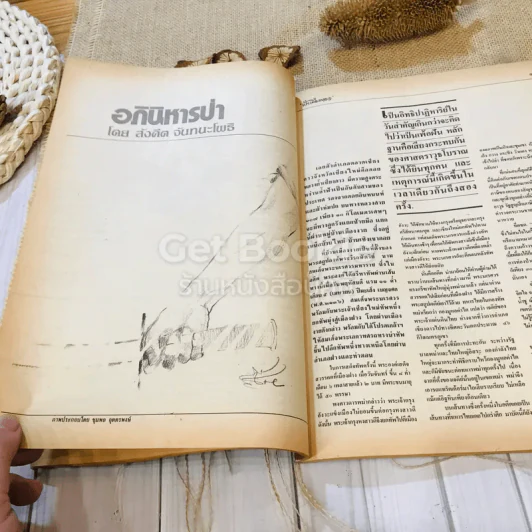 ฟ้าเมืองทอง ฉบับที่ 91 ต.ค.2526 รูปที่ 19
