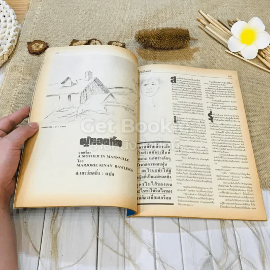ฟ้าเมืองทอง ฉบับที่ 99 มิ.ย.2527 รูปที่ 15