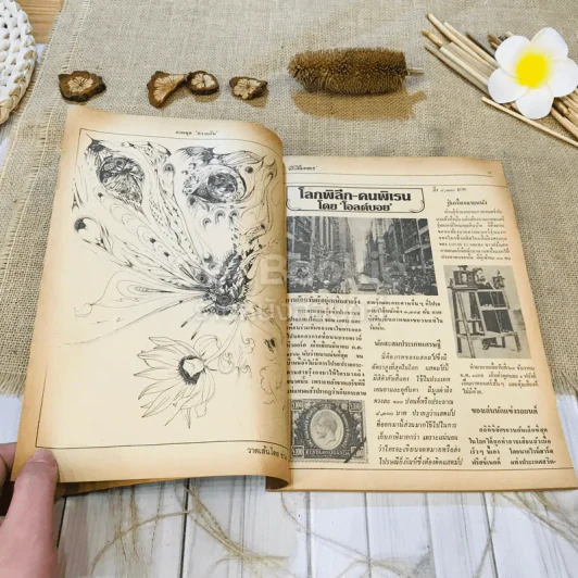 ฟ้าเมืองทอง ฉบับที่ 74 พ.ค.2525 รูปที่ 9
